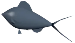 Fish Maguro — 2.00 × 0.53 × 0.78 m